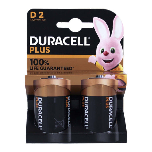 DURACELL PLUS 100 TORCIA D MN1300 - BL 2 PZ