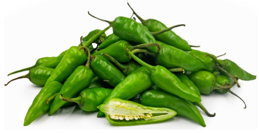 BULLET CHILLI MAROCCO