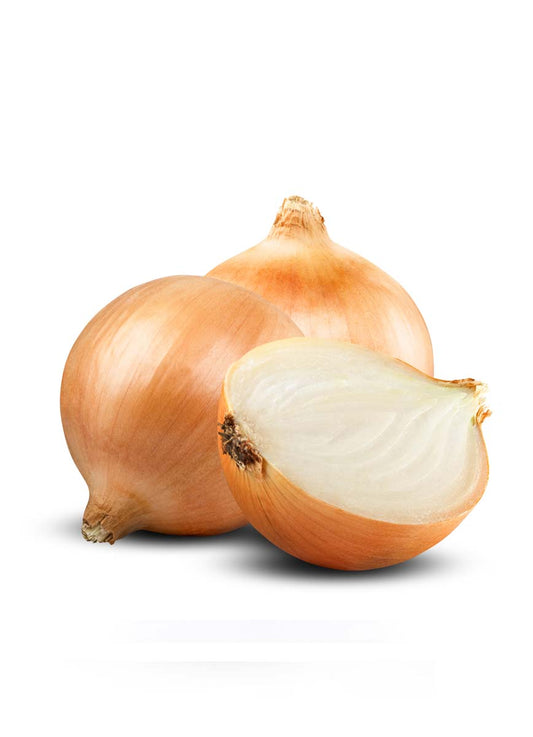 CIPOLLA DORATA