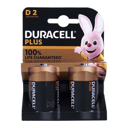 DURACELL PLUS 100 TORCIA D MN1300 - BL 2 PZ