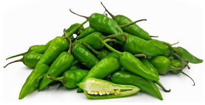BULLET CHILLI  MAROCCO