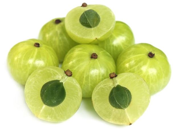 AMLA INDIA