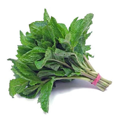 MENTA ITALIA
