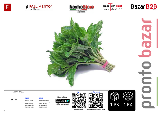 MENTA ITALIA