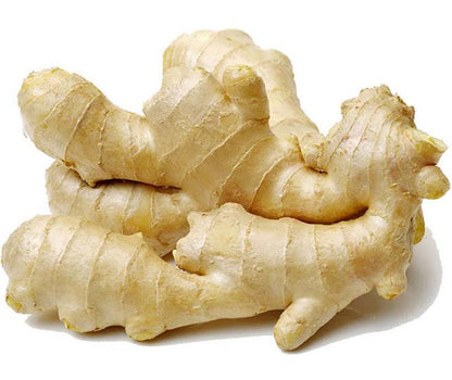 GINGER CINA