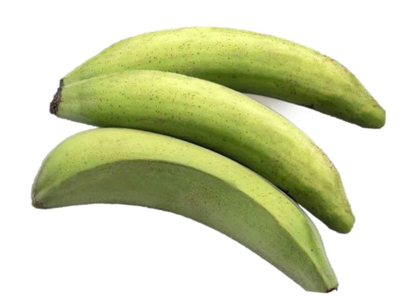 PLATANO VERDE ECUADOR