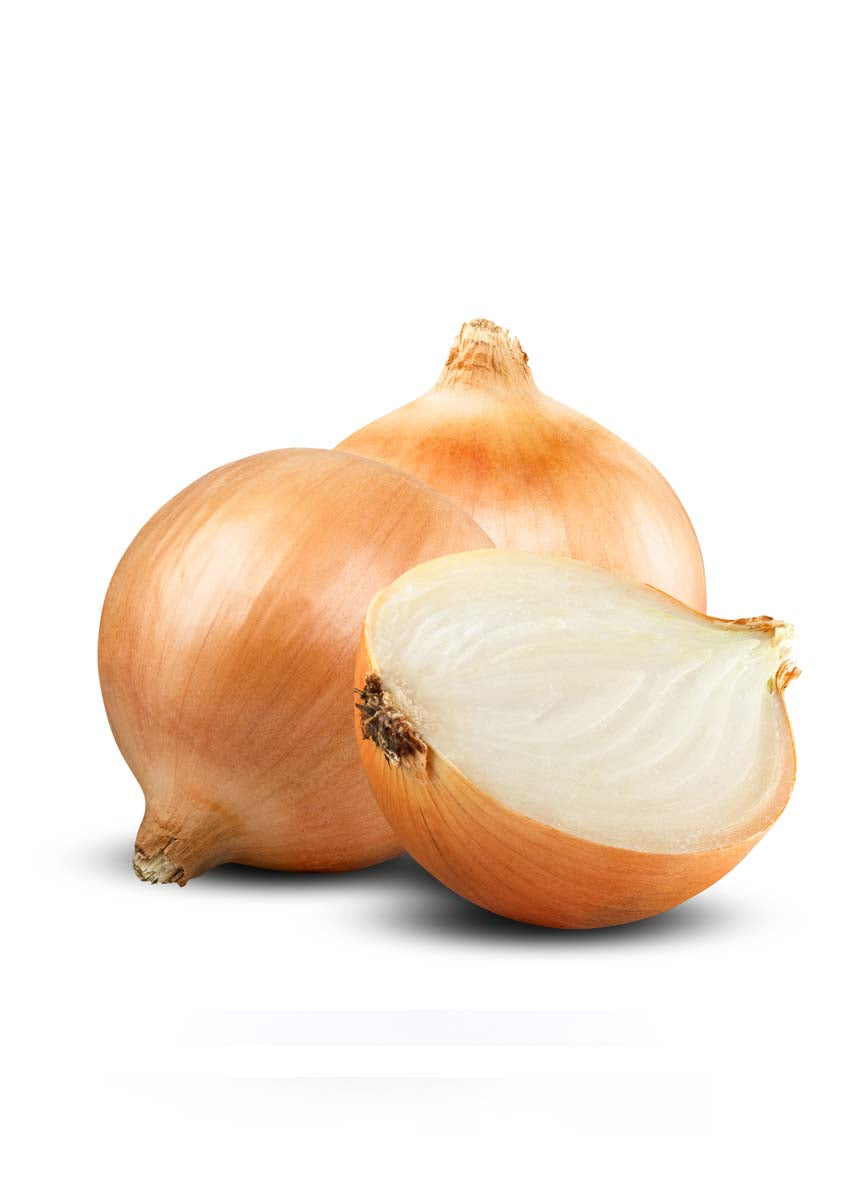 CIPOLLA DORATA
