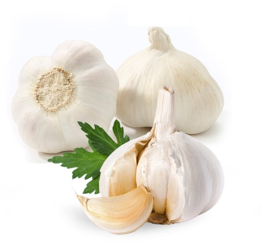 AGLIO NORM. BIANCO 55/60 AL KG